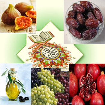۵ میوه بهشتی در قرآن